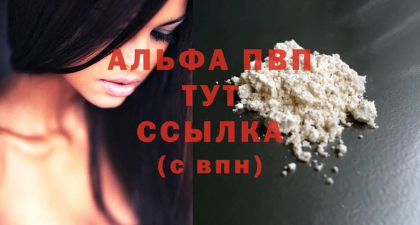твердый Богданович