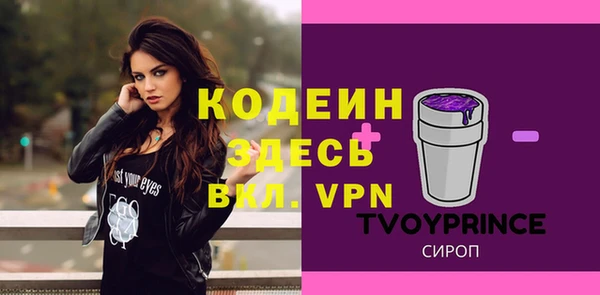 твердый Богданович