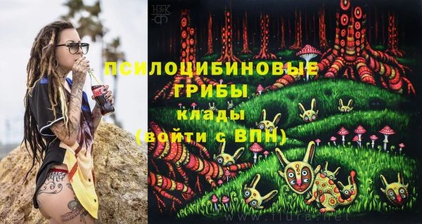 твердый Богданович