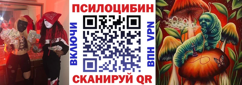 Галлюциногенные грибы Psilocybe  Удомля 